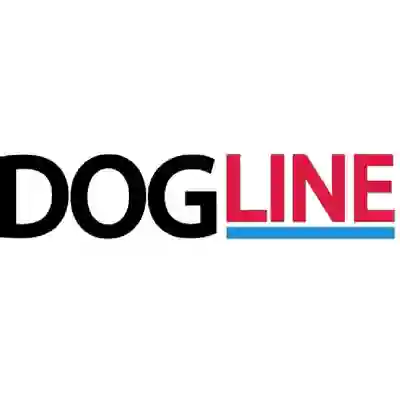 Image Alternative Text