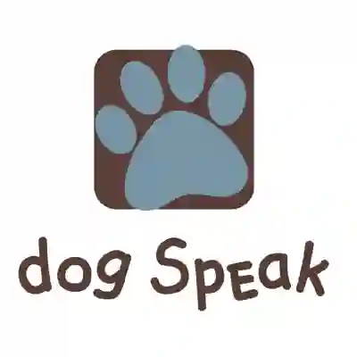 Image Alternative Text