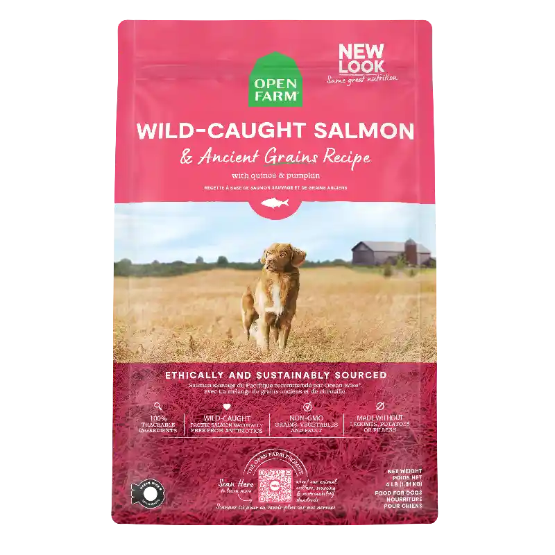 OF | Dog - Ancient Grain Wild Salmon 22-lb
