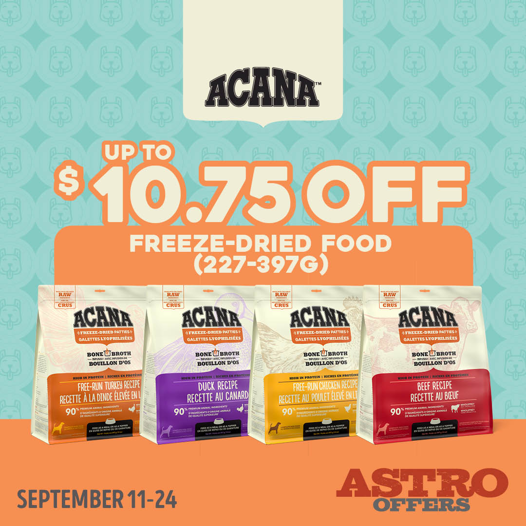 Promotion Image