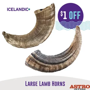 Icelandic+ | $1.00 …