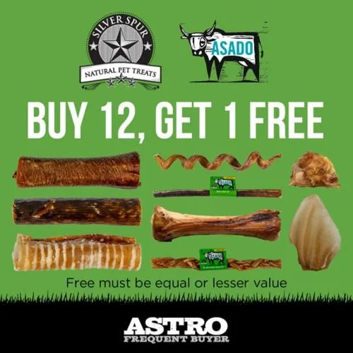 Promotion Image