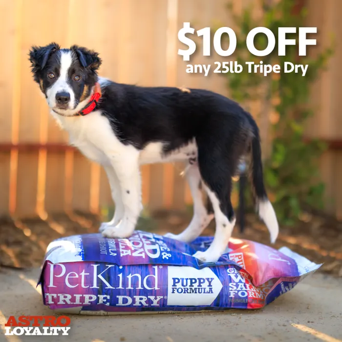 Promotion Image