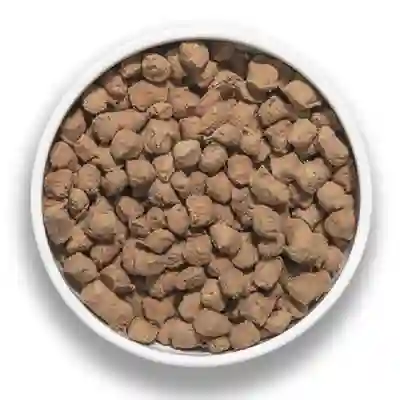 Image Alternative Text