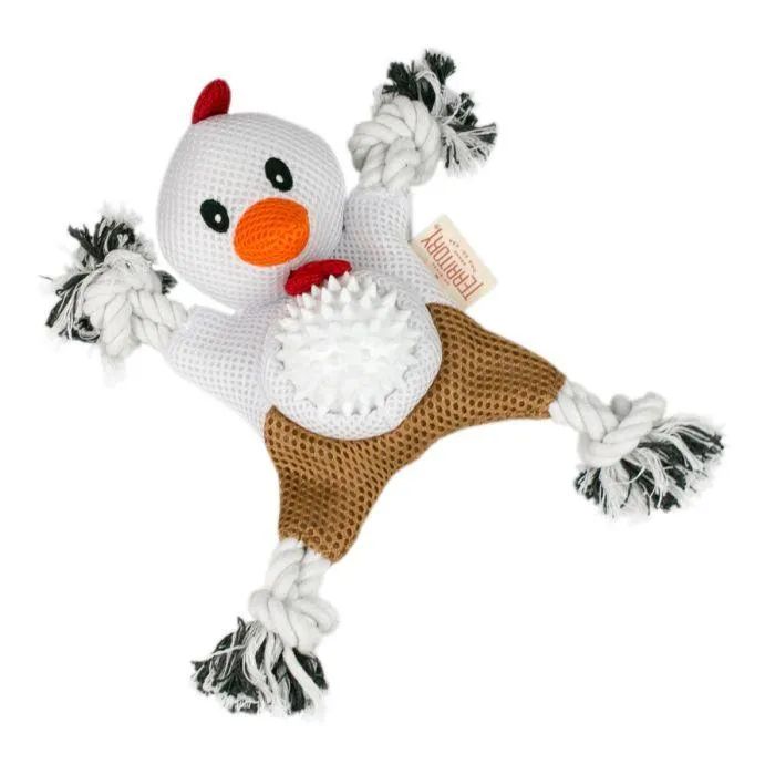 Tall Tails | Farm Friends 2 in 1 Chicken