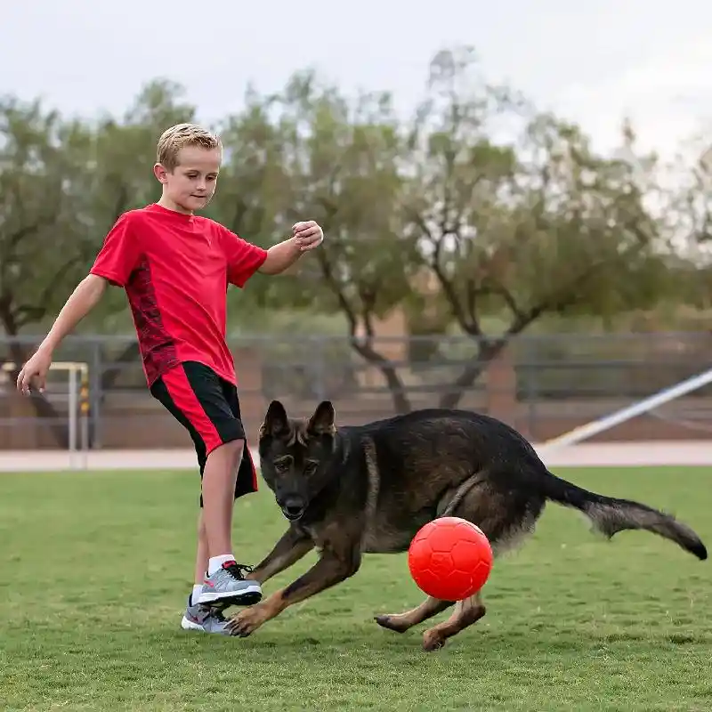 Jolly Pets | Soccer Ball Green Apple 8"