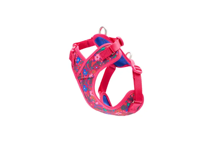 RC | Petite Explorer Harness XS Frida