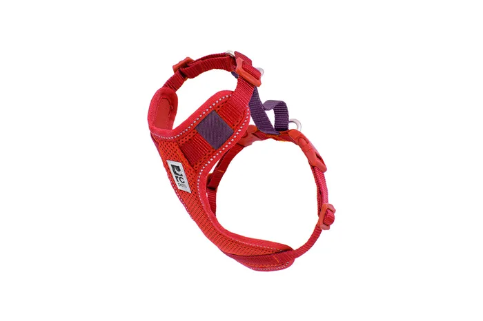 RC | Moto Control Harness XS Goji Berry/Burgundy