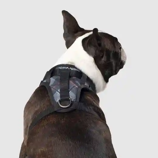 Canada Pooch | Everything Harness Plaid Medium