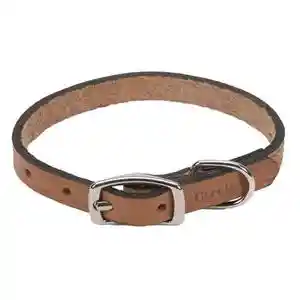 Circle T | Oak Tanned Leather Town Collar 3/8x12"