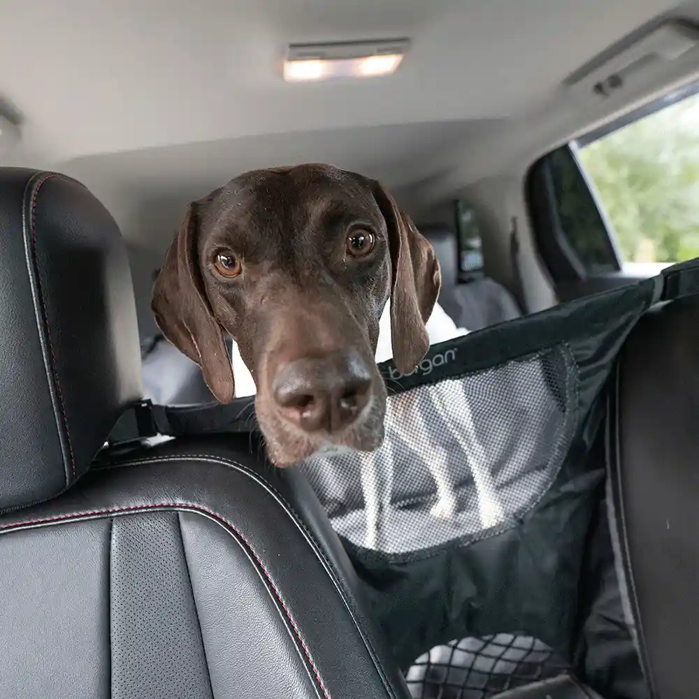 Bergan | Auto Travel Dog Barrier
