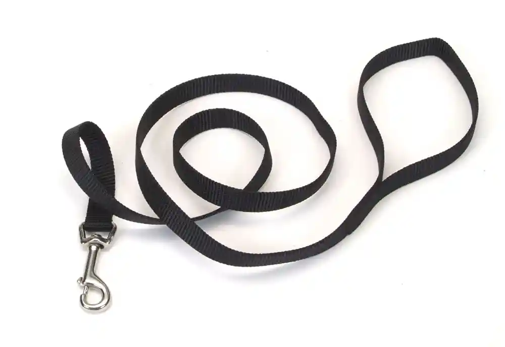 Coastal | Nylon Leash 3/4 x 4' Black