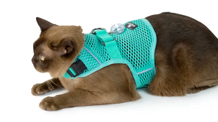 Sleepypod | Martingale Cat Harness Robin Egg Blu S
