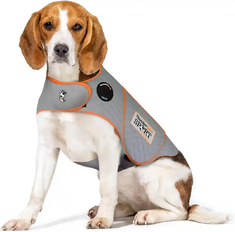 Thunderworks | Thundershirt Sport Platinum Small