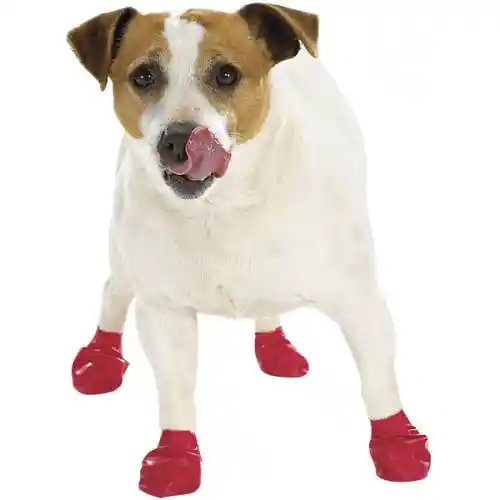 Pawz | Boots Small to 2.5" Red 12 pk