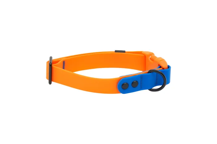RC | Waterproof Collar L Orange/Sapphire