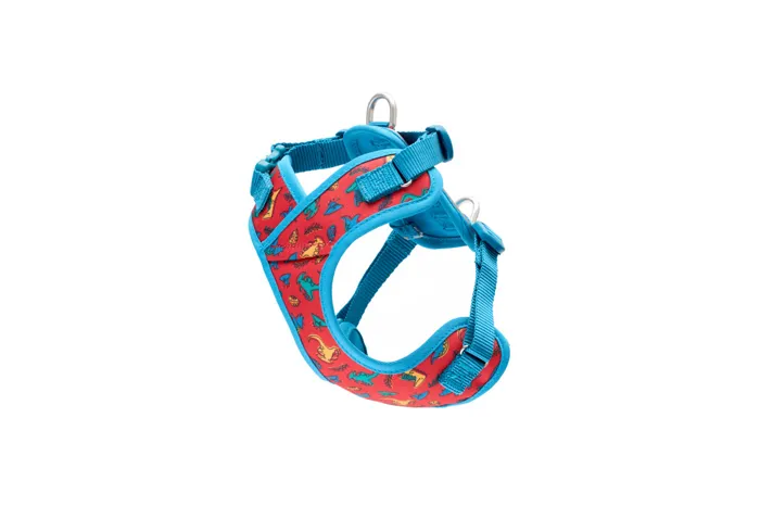RC | Petite Explorer Harness XXS Jurassic Pack