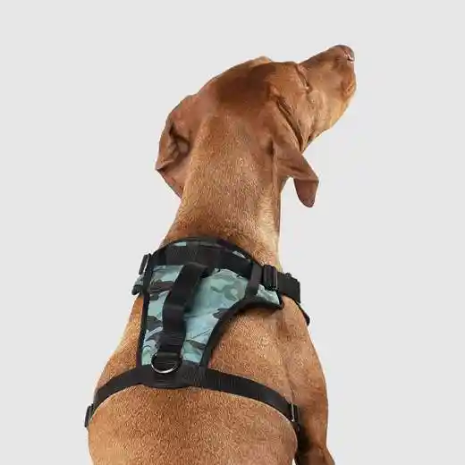 Canada Pooch | Everything Harness Camo Medium
