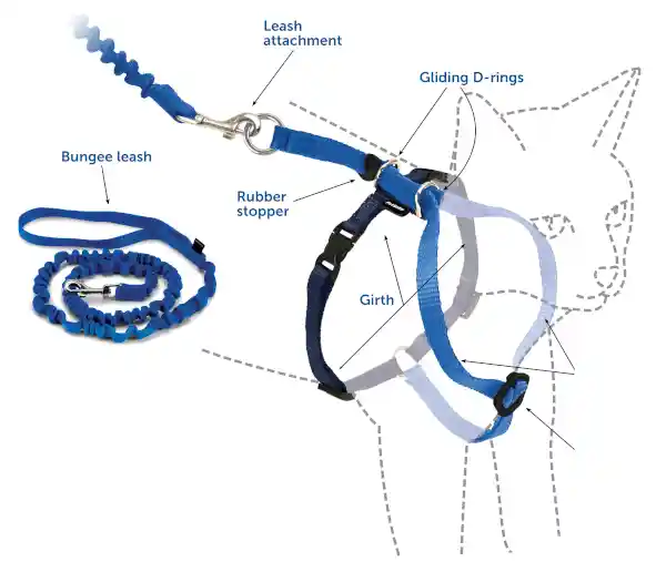 PetSafe | Cat - Harness & Bungee Leash Red Large