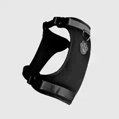 Canada Pooch | Everything Harness Mesh Black L