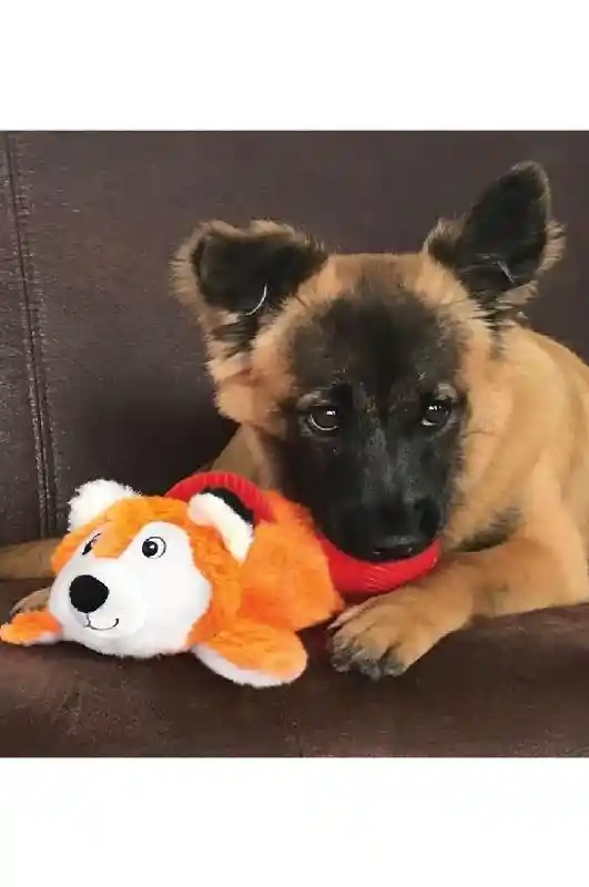 KONG | Cozie Pocketz Fox Medium