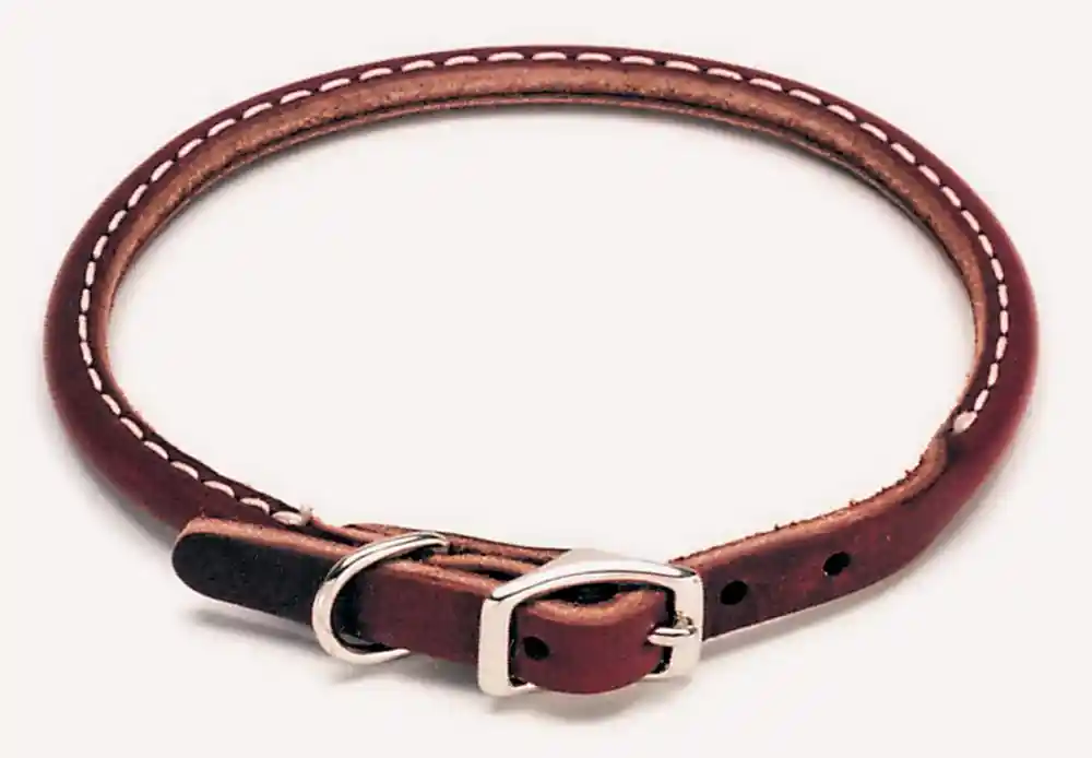 Circle T | Leather Rolled Collar Brown 14x3/8"