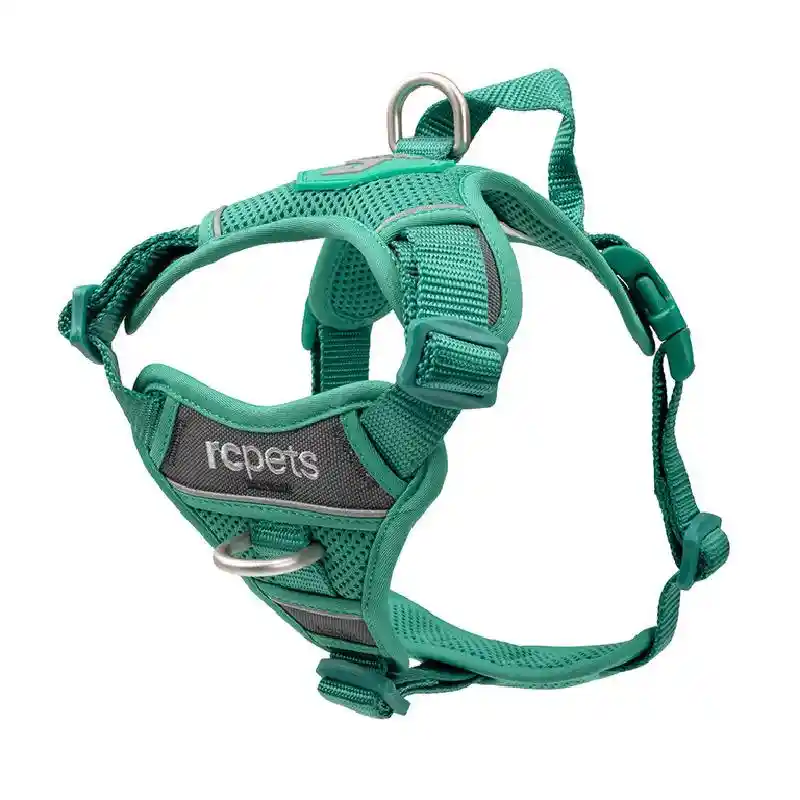 RC | Momentum Harness M Parakeet
