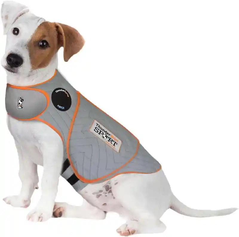 Thunderworks | Thundershirt Sport Platinum Medium