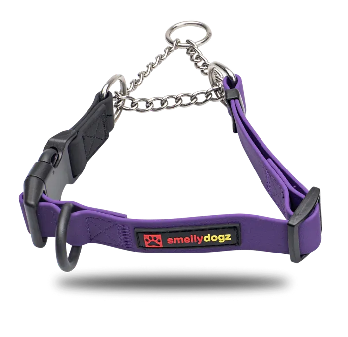 Smellydogz | Martingale Collar Small Purple