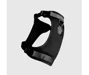 Canada Pooch | Everything Harness Mesh Black L