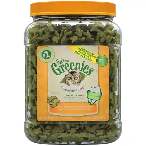 Greenies | Cat - Dental Oven Roasted Chicken 21-oz