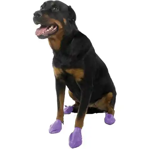 Pawz | Boots Large to 4" Purple 12 pk