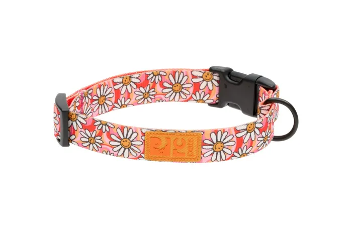 RC | Eco Collar Daisy Joy Medium
