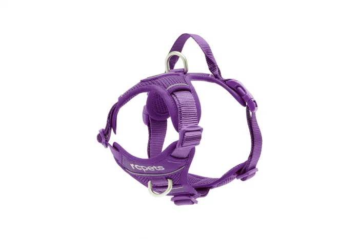 RC | Momentum Harness S Purple