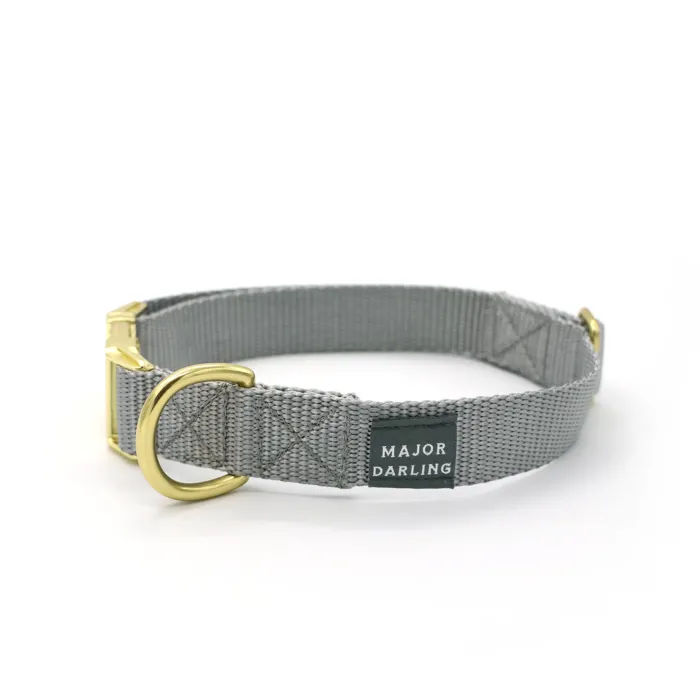 MD | Silver Buckle Collar Large