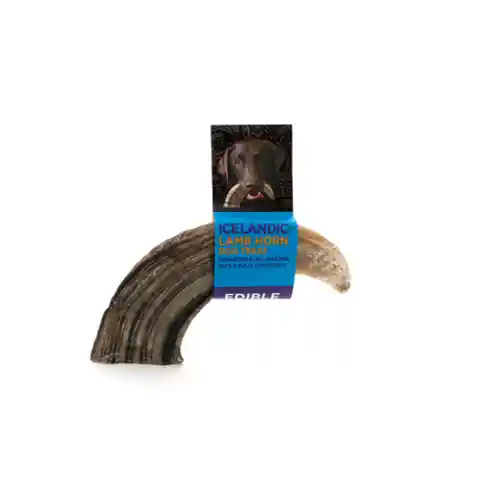Icelandic+ | Lamb Horn