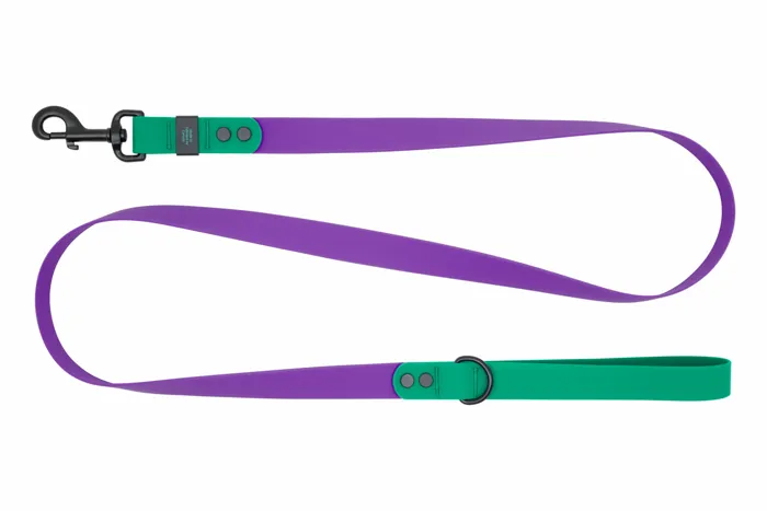 RC | Waterproof Leash 1x5 Purple/Parakeet