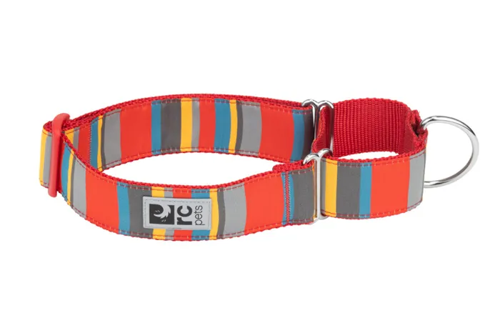 RC | All Webbing Collar L Multi Stripes