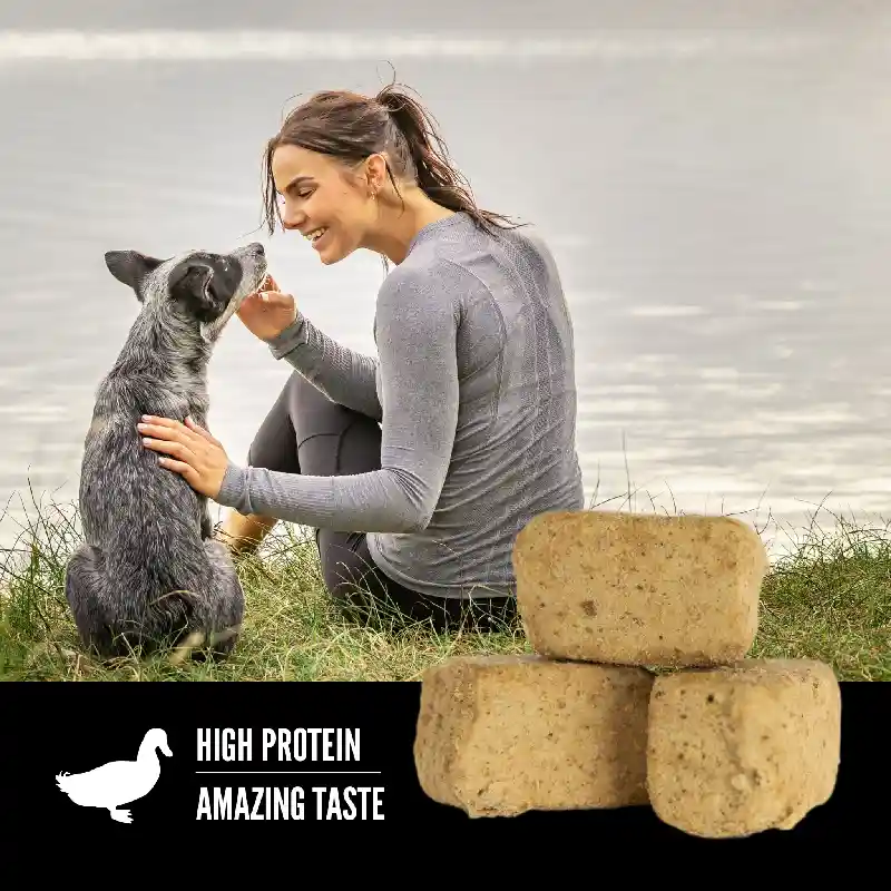 Orijen | Dog - FD Duck Treats 3.25-oz
