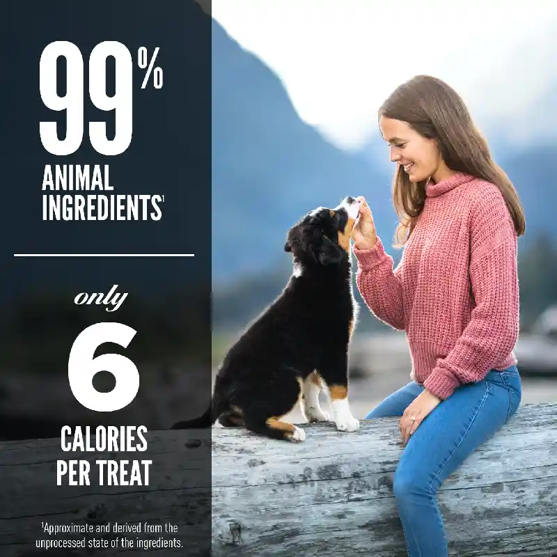Orijen | Dog - FD Duck Treats 3.25-oz