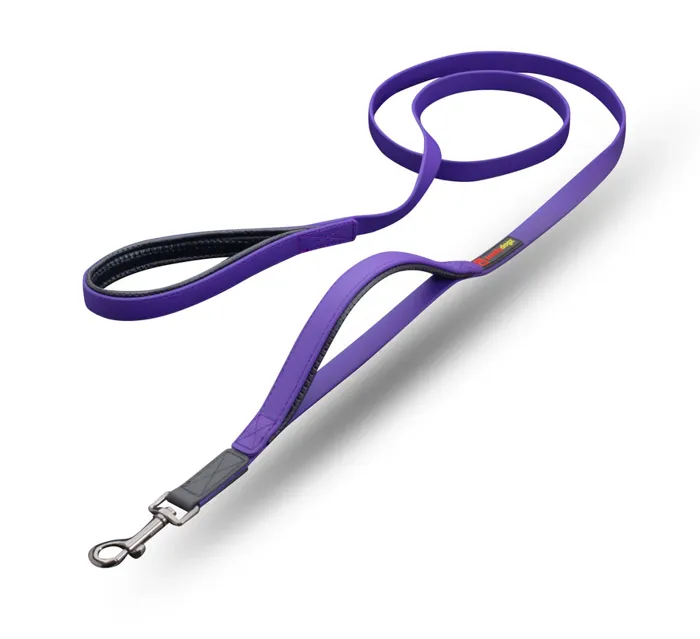 Smellydogz | Lead Dbl Handle 0.75" 6ft Purple