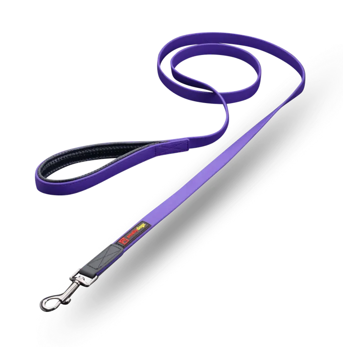 Smellydogz | Lead Comfort 0.75" 6ft Purple