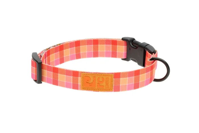 RC | Eco Collar Gleeful Gingham Large