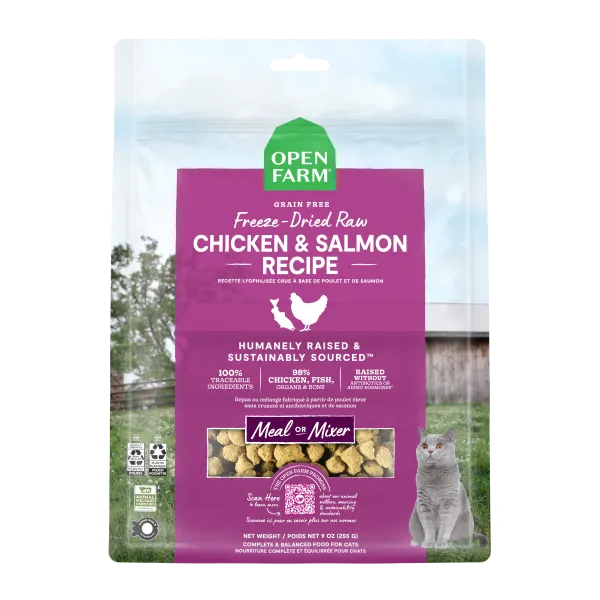 OF | Cat - FD Raw Ckn&Slmn Morsels 9-oz