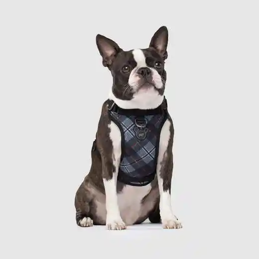 Canada Pooch | Everything Harness Plaid Medium