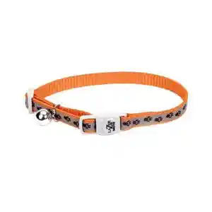 LazerBrite | Cat - Breakaway Collar 12" OrangePaws
