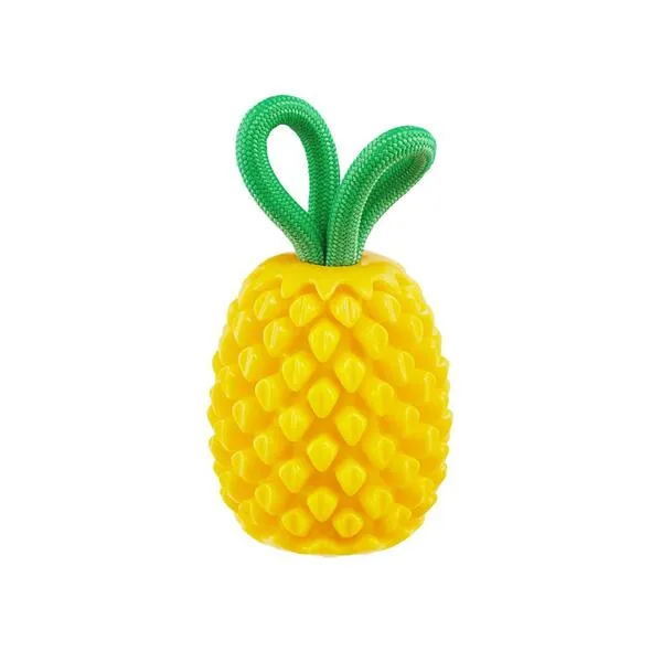 Outward Hound | Pineapple Rubber Toy