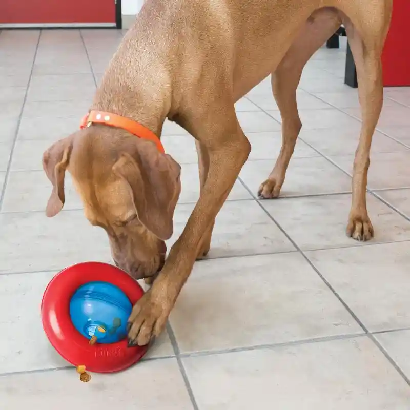 KONG | Gyro Ball Small
