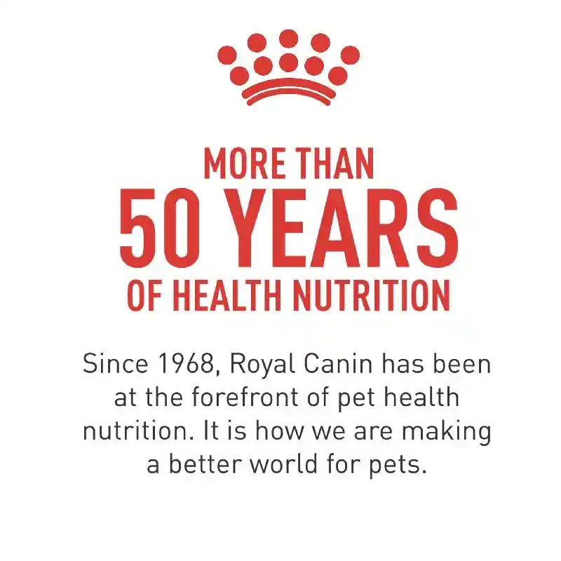 Royal Canin | Dog - Small Digestive Care 17-lb