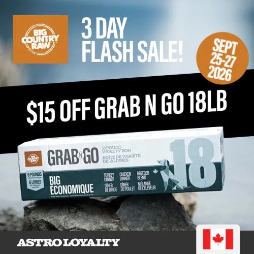Promotion Image